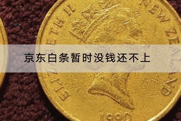京东白条暂时没钱还不上怎么办？没钱还会不会影响信用？