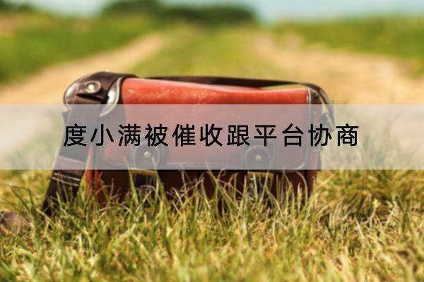 度小满被催收跟平台协商