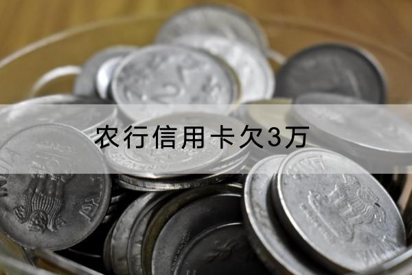 农行信用卡欠3万怎么办？要支付多少利息？
