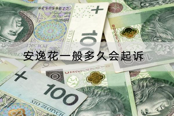 安逸花一般多久会起诉？被起诉会不会坐牢？