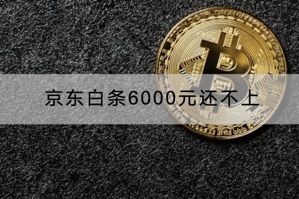 京东白条6000元还不上
