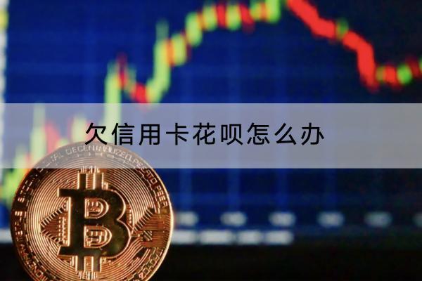 欠很多信用卡花呗怎么办