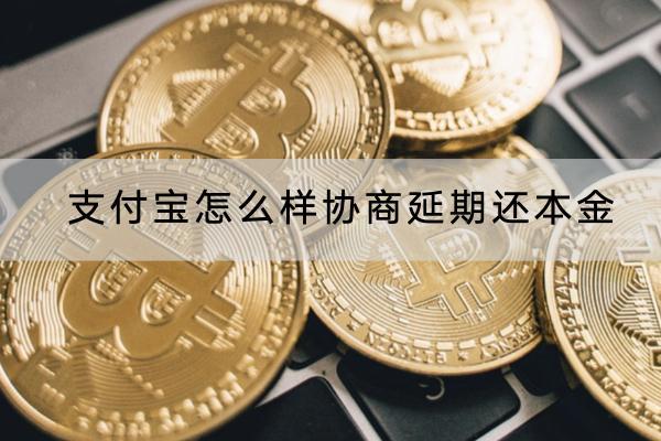 支付宝怎么样协商延期还本金