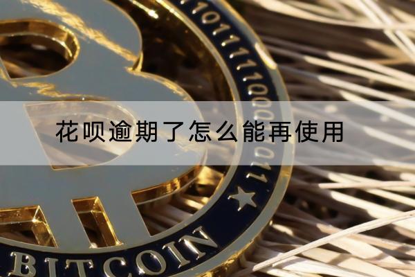 花呗逾期了怎么能再使用
