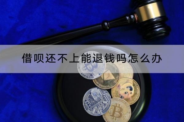 借呗还不上能退钱吗怎么办