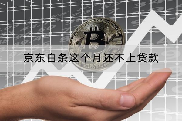 京东白条这个月还不上贷款