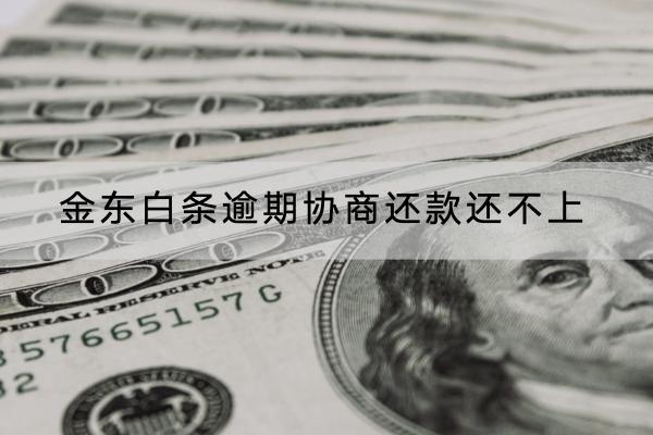 金东白条逾期协商还款还不上