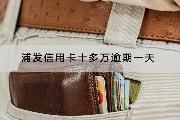 浦发信用卡十多万逾期一天
