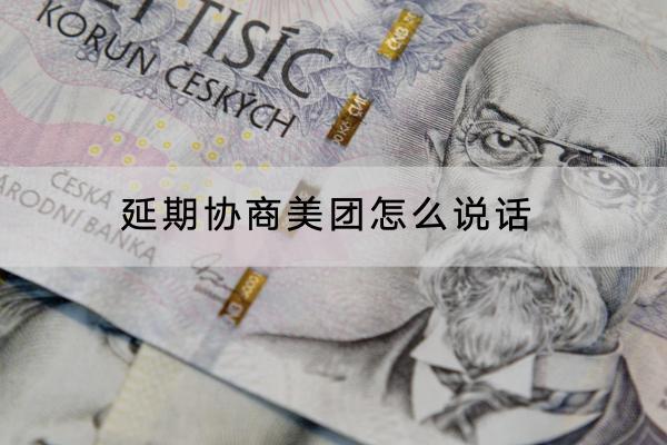 延期协商美团怎么说话
