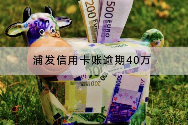 浦发信用卡账逾期40万
