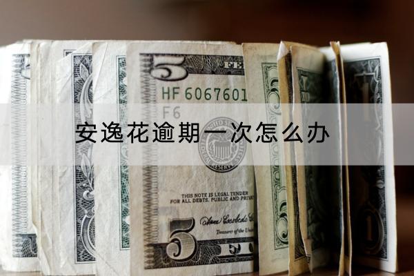 安逸花逾期一次怎么办？逾期一次多久会上门？
