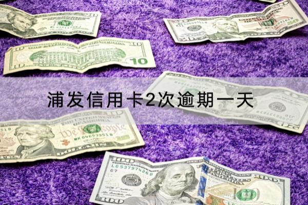 浦发信用卡2次逾期一天