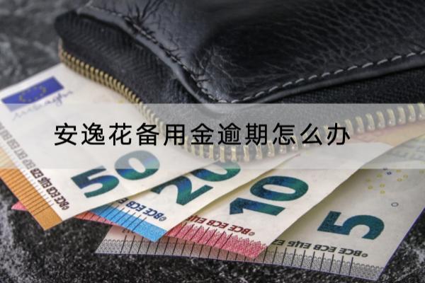 安逸花备用金逾期怎么办？一定要重视逾期