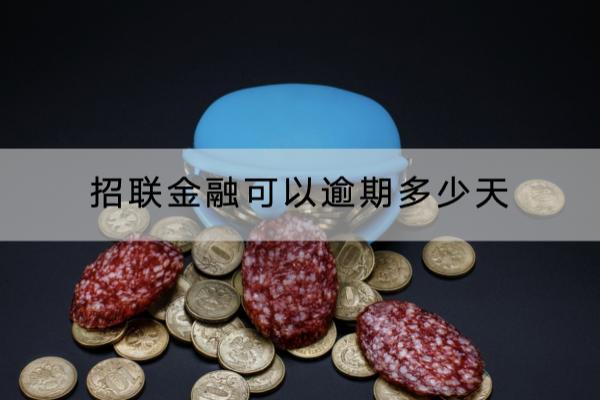 招联金融可以逾期多少天