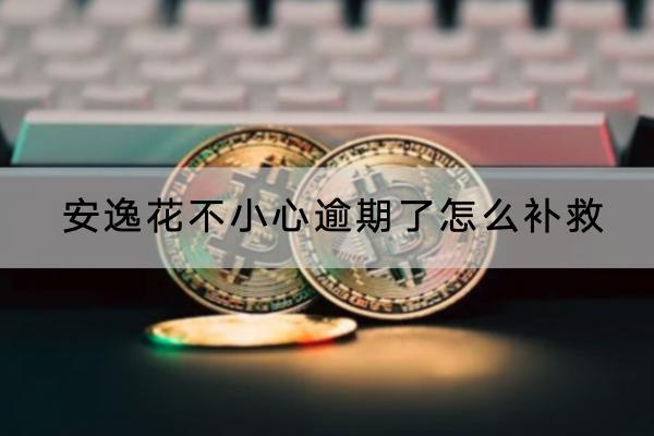安逸花不小心逾期了怎么补救
