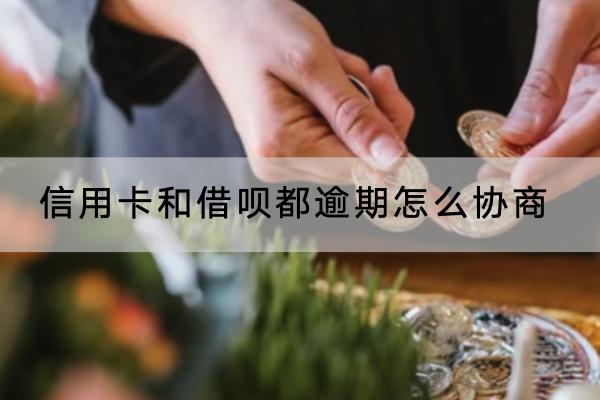 信用卡和借呗都逾期怎么协商
