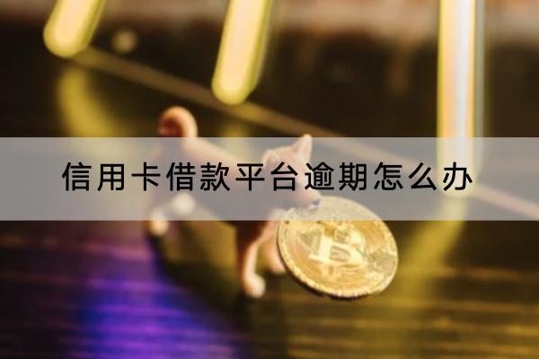 信用卡借款平台逾期怎么办