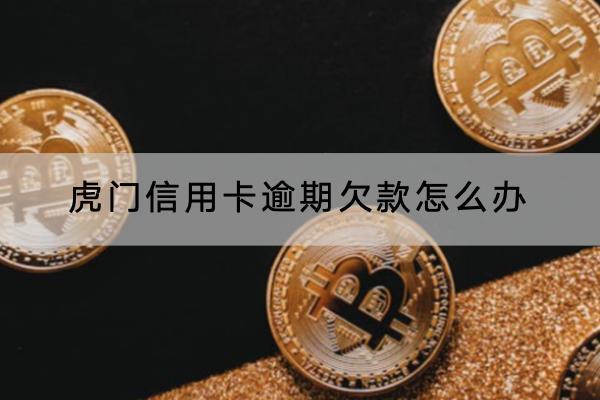 虎门信用卡逾期欠款怎么办