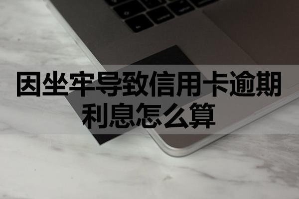 因坐牢导致信用卡逾期利息怎么算？