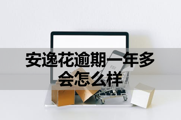 安逸花逾期一年多会怎么样？要知道这三个影响