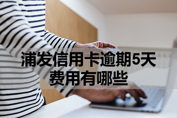 浦发信用卡逾期5天费用