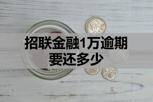 招联金融1万逾期要还多少