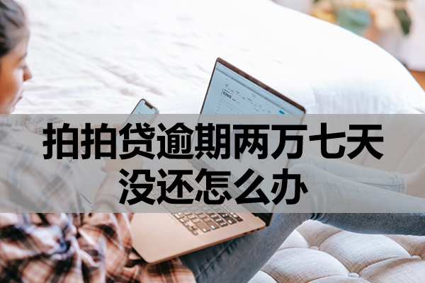 拍拍贷逾期两万七天