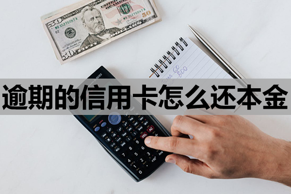 逾期的信用卡怎么还本金