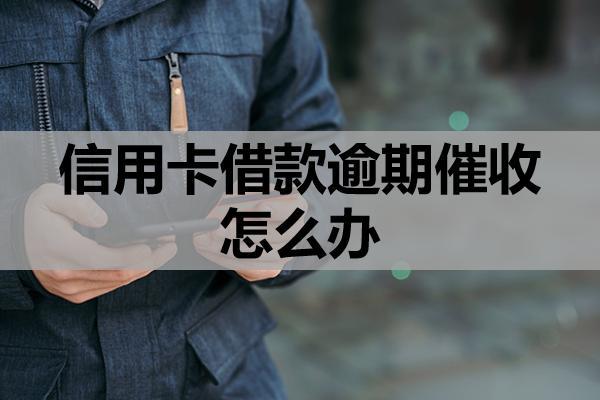 信用卡借款逾期催收怎么办