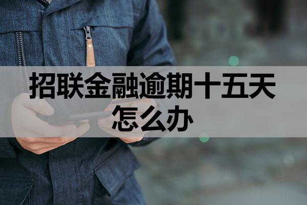 招联金融逾期十五天怎么办
