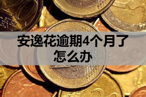 安逸花逾期4个月了怎么办？会不会被起诉？