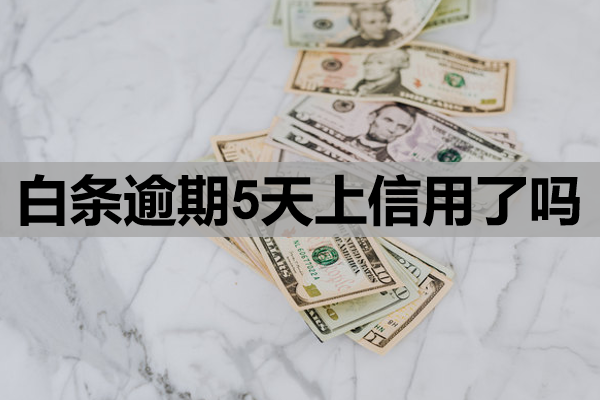 白条逾期5天上信用了