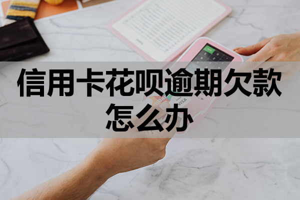 信用卡花呗逾期欠款怎么办