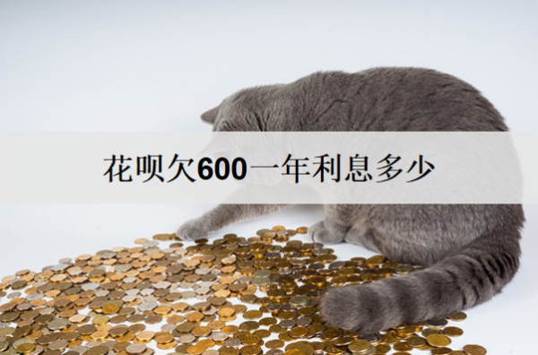 花呗欠600一年利息多少