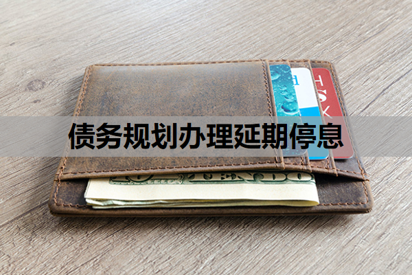 债务规划办理延期停息