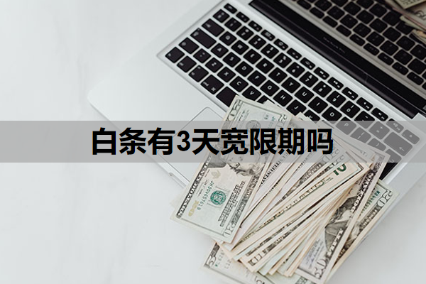 白条有3天宽限期吗