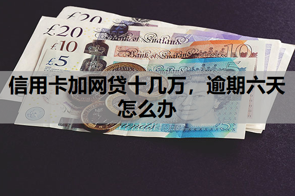 信用卡加网贷十几万，逾期六天怎么办