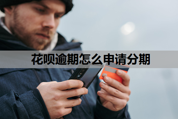 花呗逾期怎么申请分期 花呗逾期怎么申请分期