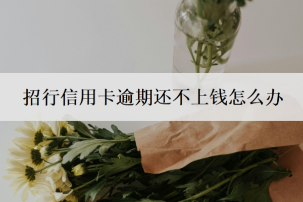 招行信用卡逾期还不上钱怎么办 招行信用卡逾期还不上钱怎么办