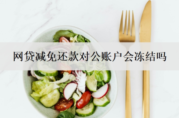 网贷减免还款对公账户 网贷减免还款对公账户