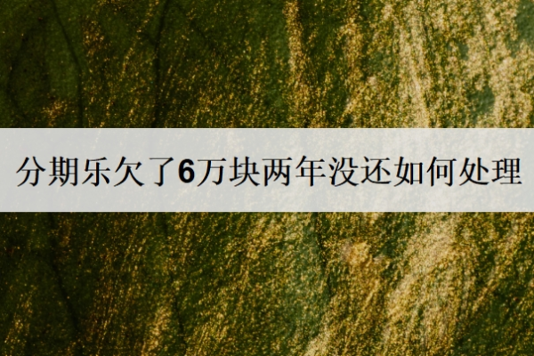 分期乐欠了6万块两年没还