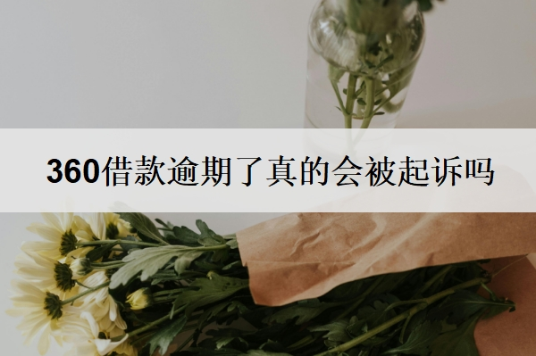 360借款逾期了真的会被起诉吗