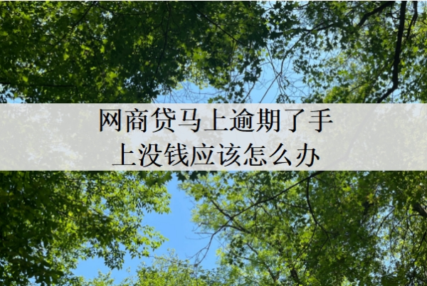 网商贷马上逾期了手上没钱应该怎么办